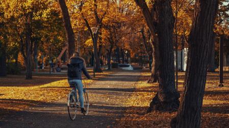 Imagen de un mujer en bicicleta por un parque