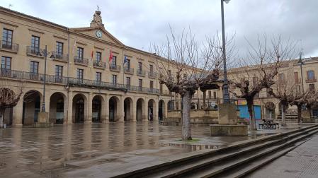 Vista de parte de los árboles de la plaza de Navarra, ahora sin hoja, algunos de los cuales se van a reemplazar ya este mismo año