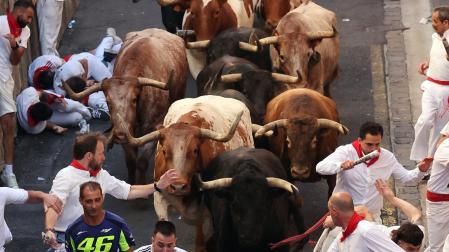 Fotos del séptimo encierro de San Fermín 2025 con toros de La Palmosilla. |