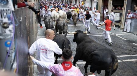 Fotos del octavo encierro de San Fermín 2025 con toros de Miura. |