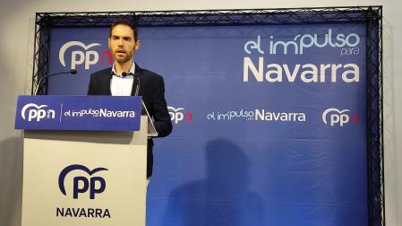 El diputado navarro del PP Sergio Sayas, durante su comparecencia en Pamplona
