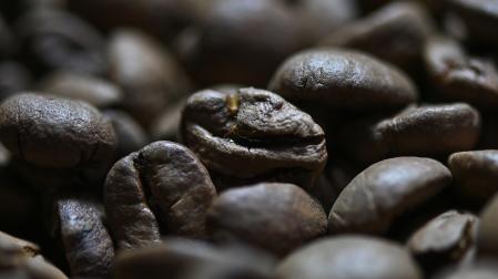 Granos de café ya tostados /