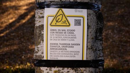 Uno de los carteles de peligro que la Universidad de Navarra ha colocado en los árboles que el Ayuntamiento de Pamplona le impide talar