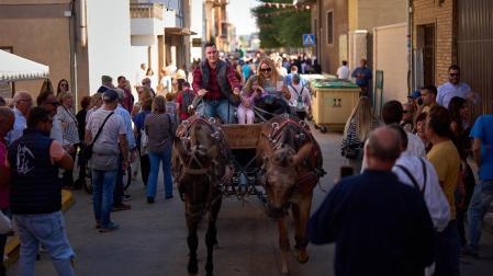 Imágenes de la Feria del Caballo de Marcilla