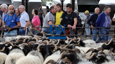 Imagen de las Ferias de Otoño en Elizondo en una edición anterior.