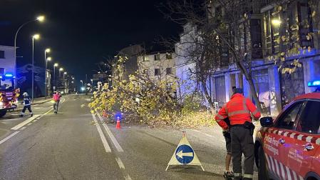 Un camión de sale de la vía y choca contra varios árboles en Etxarri Aranatz