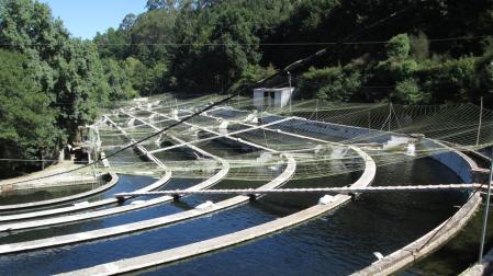 Instalaciones portuguesas que acaba de adquirir Caviar Pirinea