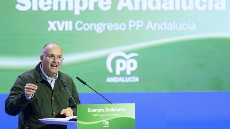 El diputado popular Miguel Tellado interviene durante la segunda jornada del congreso autonómico del PP que se celebra este sábado en Sevilla