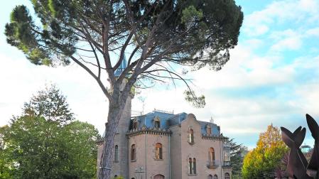 El pino, de grandes dimensiones, junto al Palacete Municipal