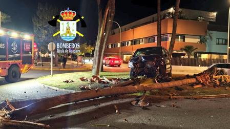 Cayetano Rivera estrella su furgoneta contra una palmera