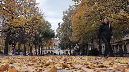 Hojas sobre el pavimento del paseo de Sarasate en una imagen otoñal de hace unos días