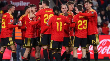 Los belgas celebran uno de los tantos marcados en la goleada contra Liechtenstein /