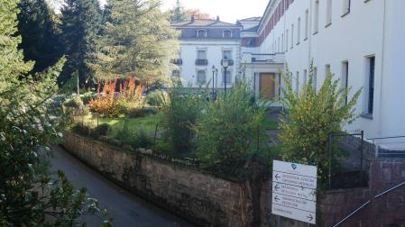 Detalle del exterior del centro hospitalario Benito Menni, ubicado en Elizondo. cedida .