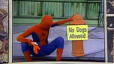 Dio vida al primer Spider-Man de imagen real en una serie de piezas cómicas y educativas en las que no hablaba, sino que se comunicaba mediante bocadillos de cómic