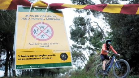 Un cartel alerta de la presencia de peste porcina africana en uno de los accesos al Parque Natural de Collserola, en Barcelona