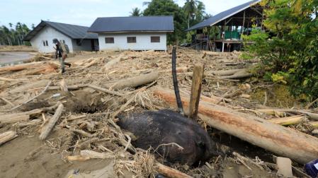 Las inundaciones entierran a un elefante de varias toneladas en Indonesia