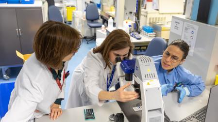 Investigadores de la Universidad de Navarra