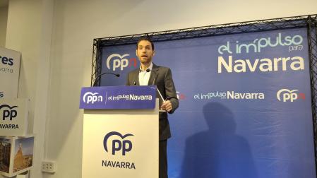 El secretario general del Partido Popular de Navarra, Sergio Sayas