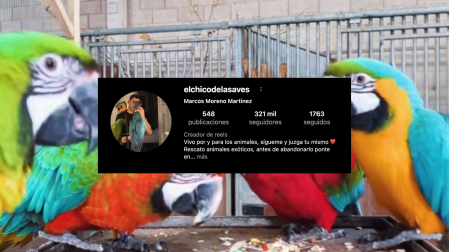 Imagen de los ejemplares del influencer navarro