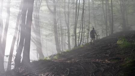 Un aficionado, asciende una pendiente por una zona boscosa de la sierra de Urbasa
