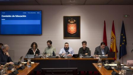 Desde la izq: Pilar Fontalba, Juan José Eslava, Carlos Mena (presidente de la Comisión de Educación) y Ángel Soria, ayer en el Parlamento.