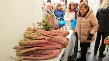 El cardo rojo se convierte en protagonista de cara a la Navidad