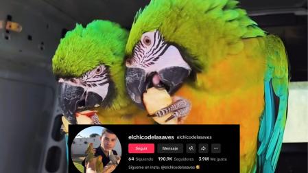 Marcos Moreno es conocido en redes, que se han volcado en la búsqueda, como @elchicodelasaves