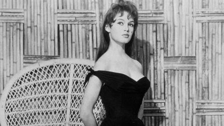 Fotografía con la que la actriz Brigitte Bardot ilustró la portada de sus memorias