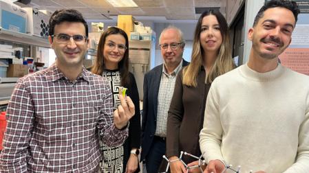Equipo de investigadores de la UPV