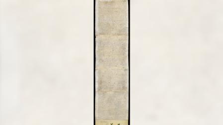Privilegio de la Unión