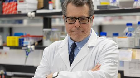 DOCTOR Ávila CIMA