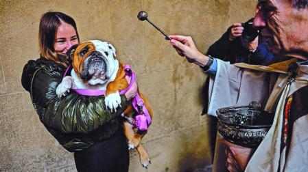Bendición de animales por San Antón en la iglesia San Nicolás de Pamplona