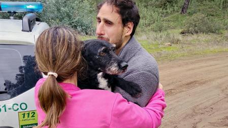 perro BORO