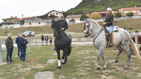 Caballos por el ferial en una edición pasada de las ferias en Tafalla.