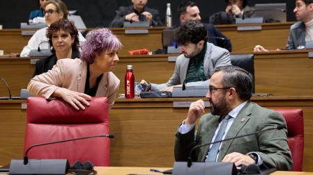 La consejera Rebeca Esnaola conversa con el vicepresidente Javier Remírez, en el hemiciclo del Parlamento