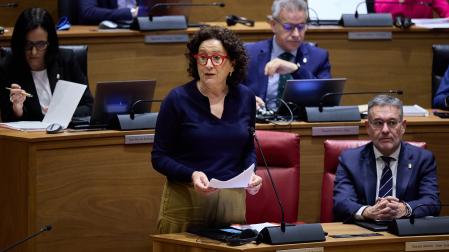 La consejera Carmen Maeztu interviene en el pleno del Parlamento