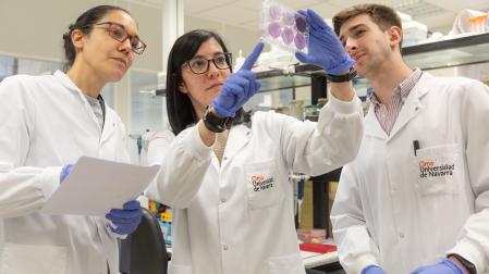 Investigadores del Grupo de Oncología Traslacional del Cima, centrado en tumores de ovario y de pulmón.
