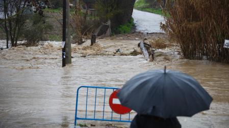 Consecuencias de la borrasca Leonardo en Ronda