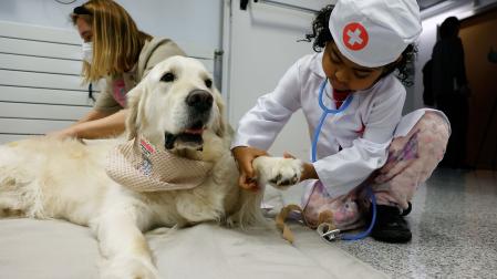 perros CLINICA UNIVERSIDAD NAVARRA