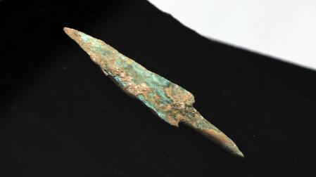 Fotos del esqueleto del bisonte de hace 4.000 años hallado en Urbasa
