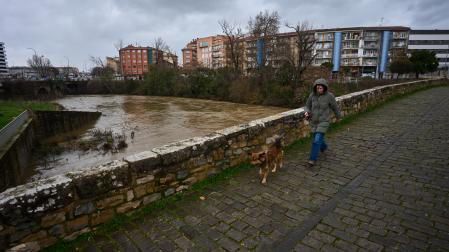 El Arga, crecido esta semana a su paso por Pamplona.