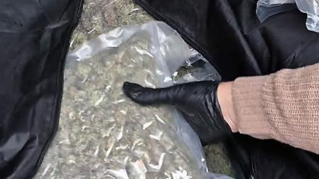 Agentes de Policía Foral detuvieron el pasado día 11 de febrero en Santesteban/Doneztebe a un joven de 26 años por un delito de tráfico de drogas.