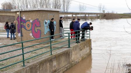 Varias personas observan la crecida del río Ebro en Castejón