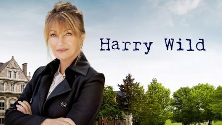 Cartel promocional de la serie 'Harry Wild' de Divinity