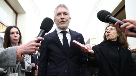 El ministro del Interior, Fernando Grande-Marlaska, atiende a los medios a su llegada al Congreso de los Diputados
