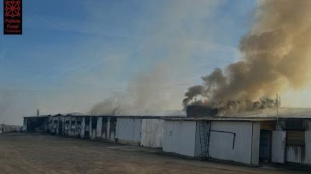 Vídeo del incendio que ha afectado a una granja de pollos en Villafranca