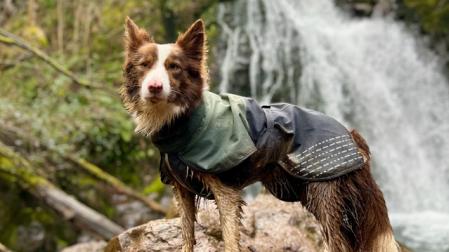 La cascada de Xorroxin es una excursión ideal para realizar junto a tu mascota. En la foto, Maui (una de las peludas protagonistas del reportaje de Conocer Navarra) posa orgullosa tras completar la ruta