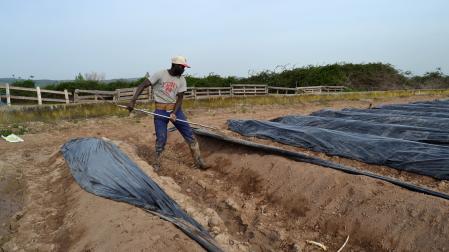 Los peones de campo es una de las ocupaciones con mayor presencia de personas migrantes