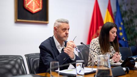 Martín Zabalza, durante el turno de intervención de los portavoces