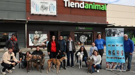 La asociación buscó impulsar la adopción de los galgos, que ya cuenta con 28 solicitudes